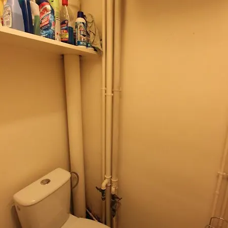 Parisian Flat Near Champs Elysees